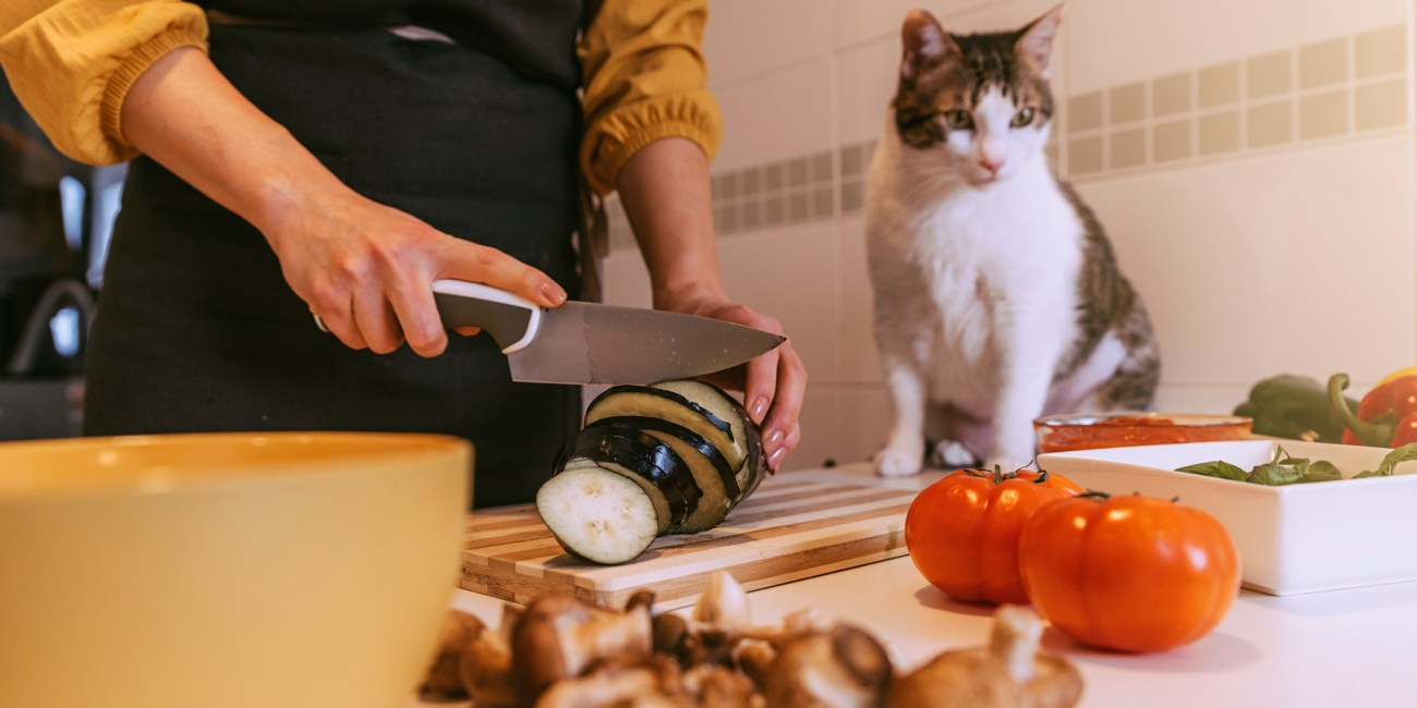 cocinar gato