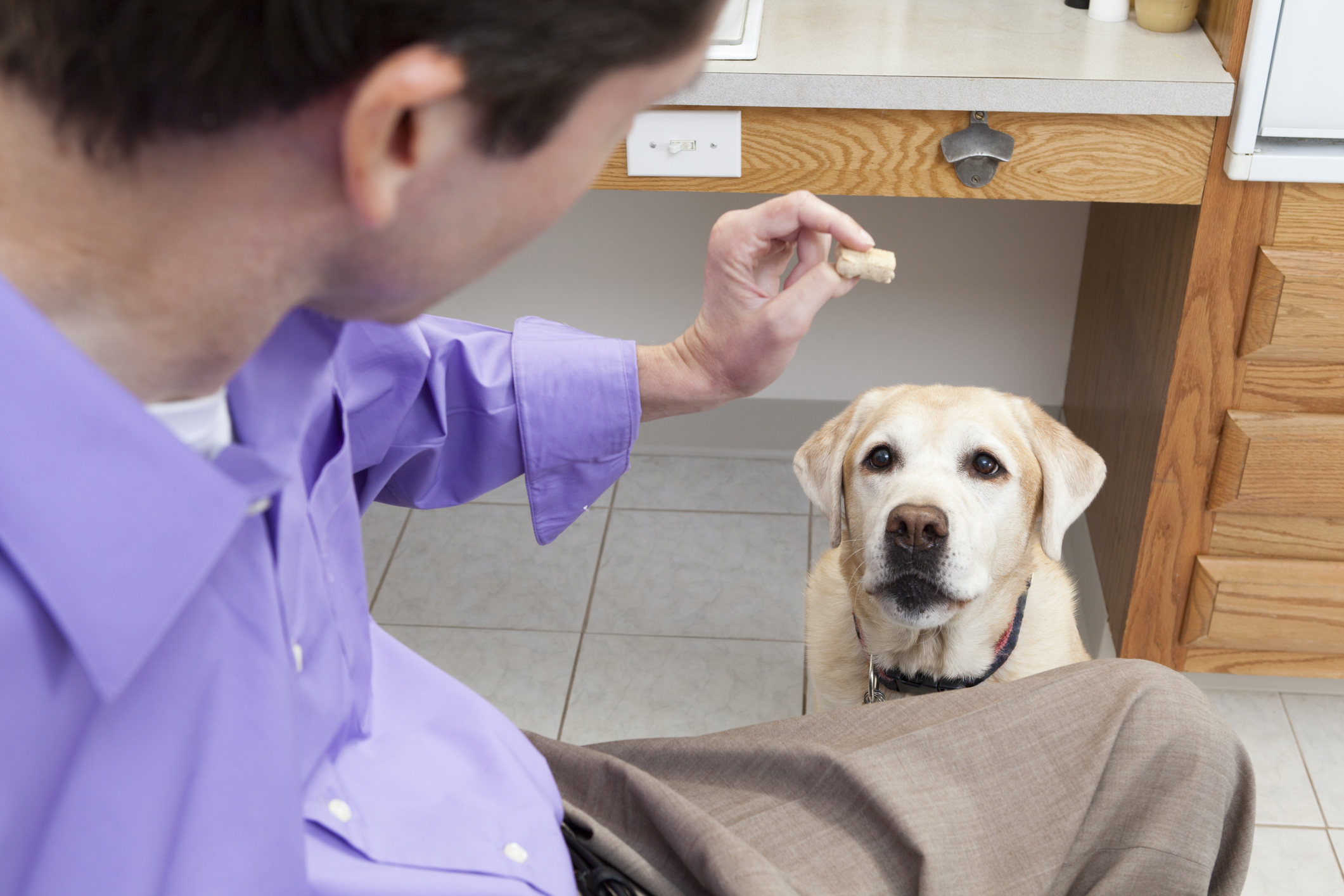 Dog gives. Что такое шестое чувство у собак. 6 Чувство у собак. Есть ли у собак шестое чувство.